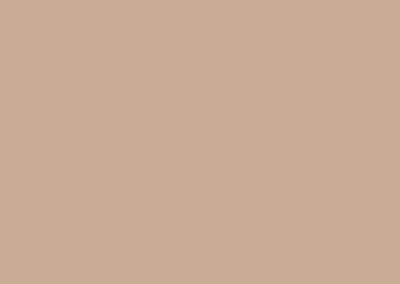 BEIGE-21037