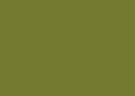 DARK-CITRUS-21023-NL