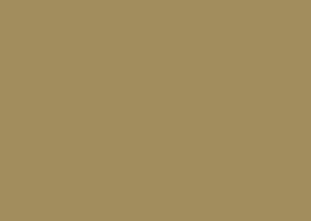 DARK-CITRUS-21023