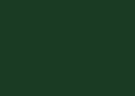 ENGLISH-IVY-21063