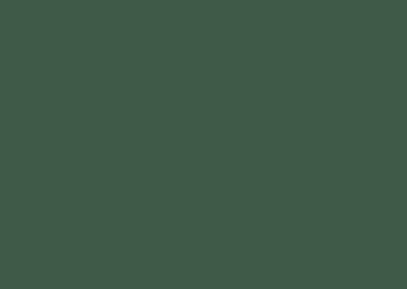 FOREST-GREEN-22293