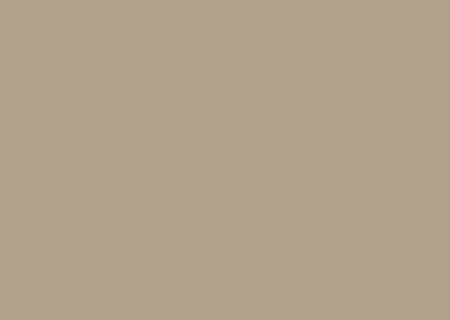 OYSTER-21007