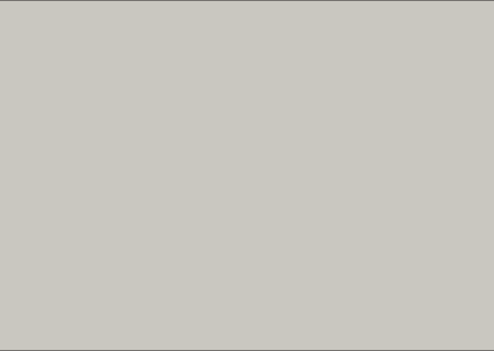 PALE-GREY-22169