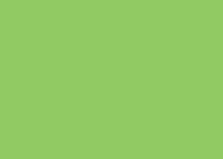 PARROT-GREEN-21143