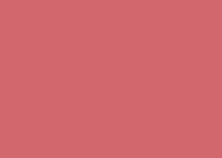 POPPY-21004