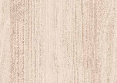 Winter-Samsara-Maple